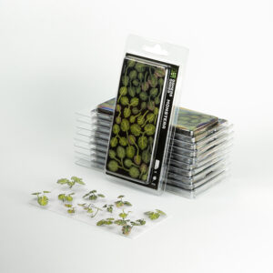 Gamers Grass - Laser Plants Monstera