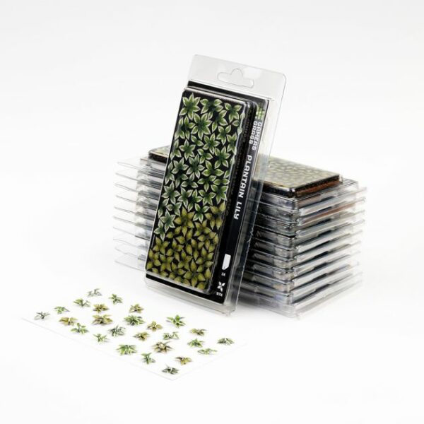 Gamers Grass - Laser Plants Plantain Lily