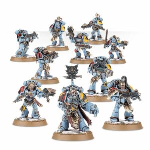 Space Wolves: Grey Hunters