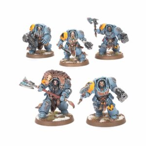 Space Wolves: Wolf Guard Terminators